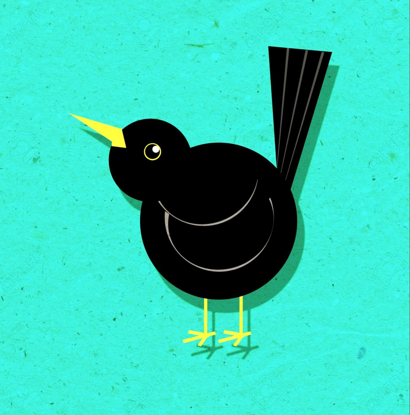 Blackbird