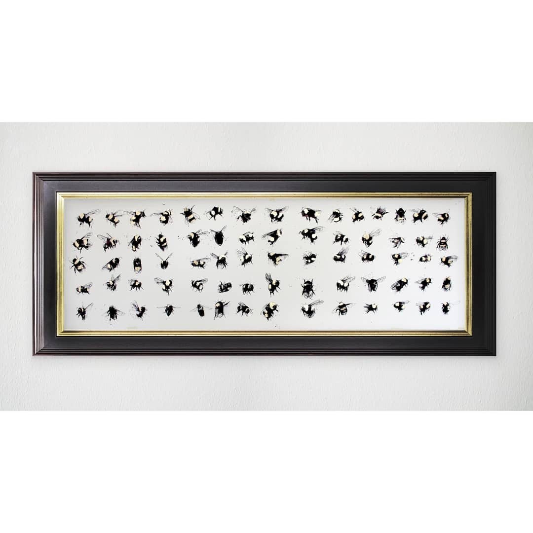 Bug Collection