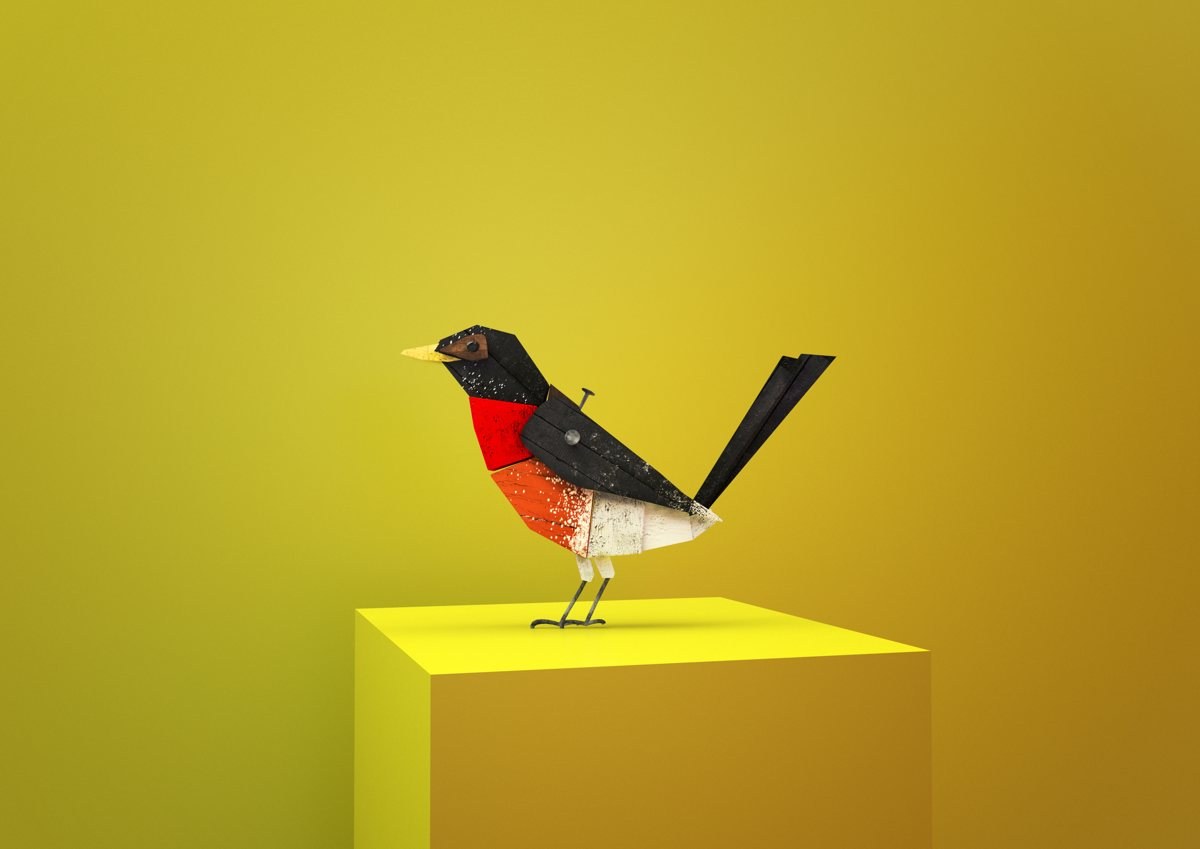 American Robin