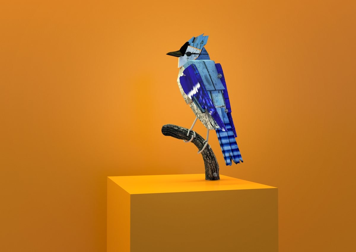 Blue Jay