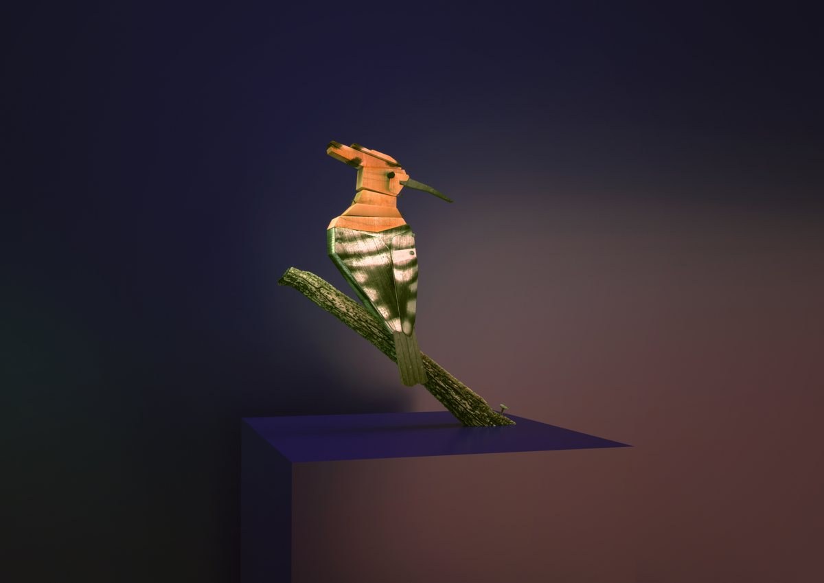 Hoopoe