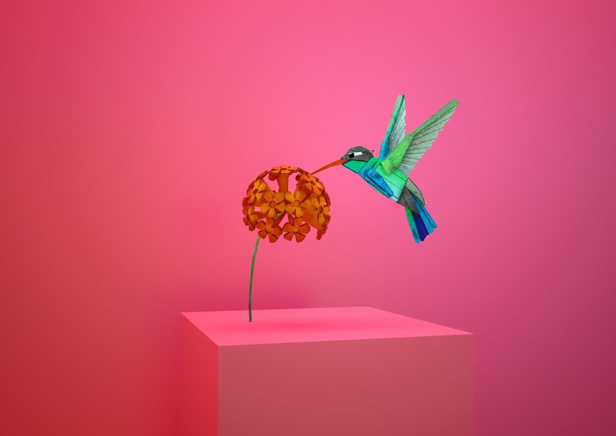 Hummingbird