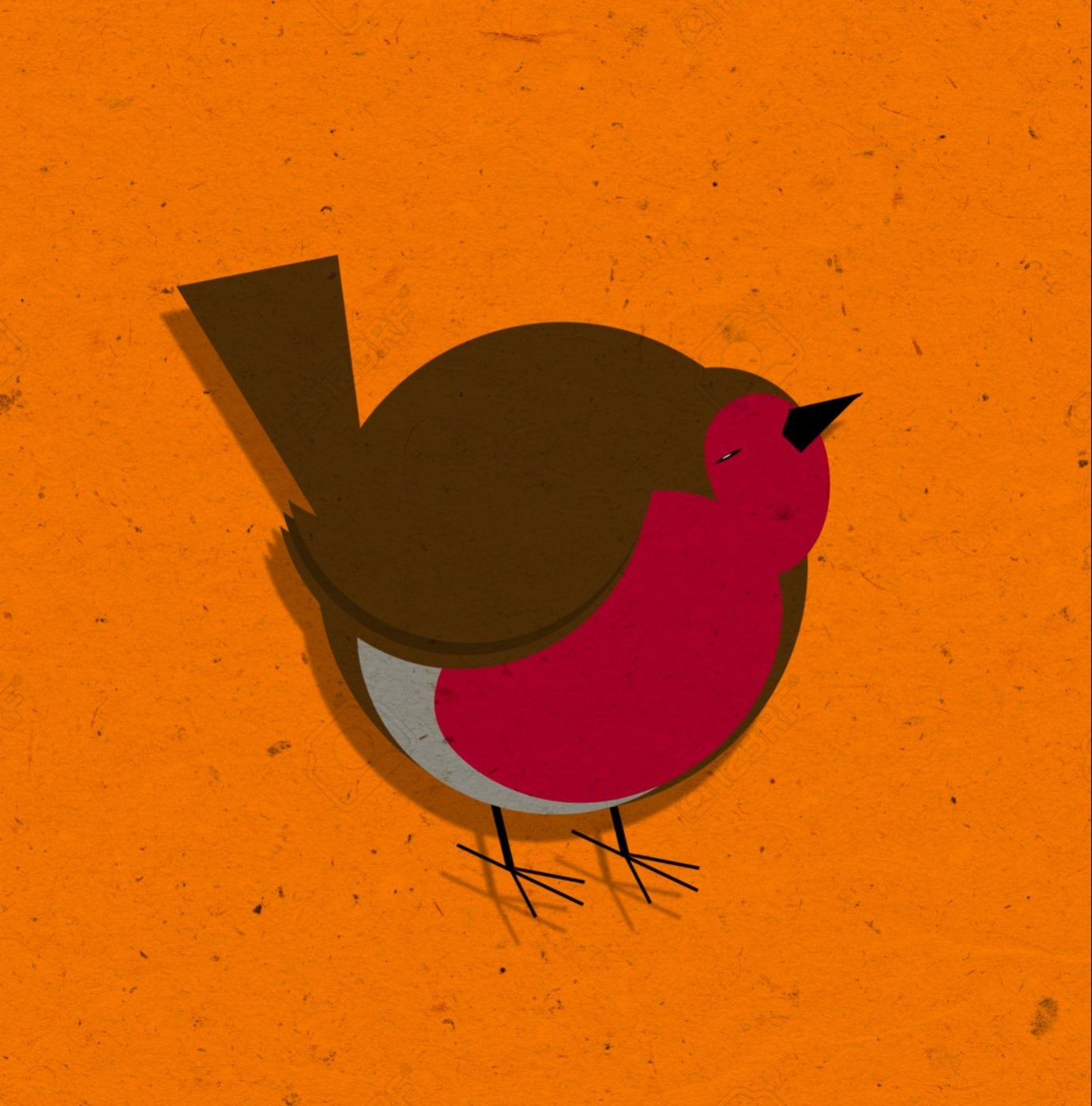 Robin
