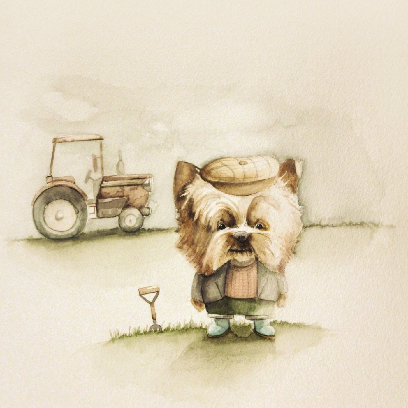 Farmer Yorkie